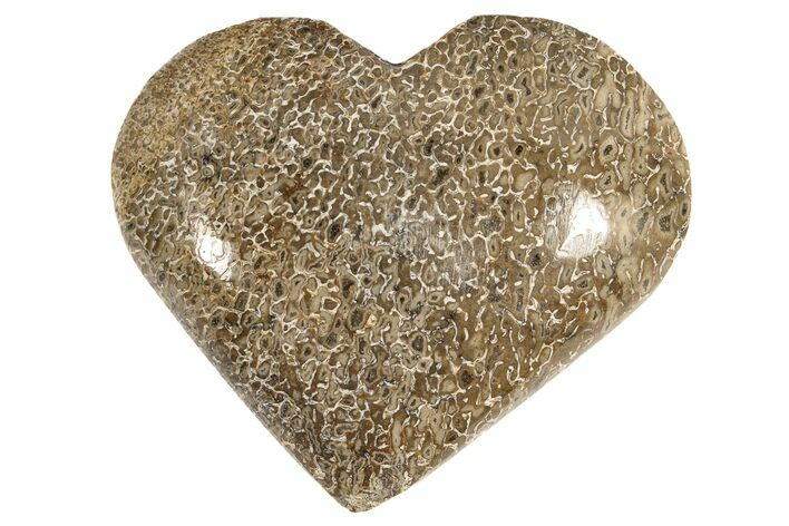 Polished Dinosaur Bone (Gembone) Heart - Morocco #189803